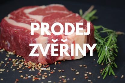 Lesní krajina k tématu Zvěřina