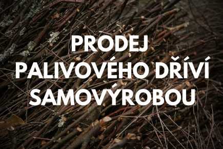 Lesní krajina k tématu Samovýroba a těžební zbytky